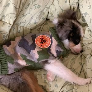 Meet your Posher, April